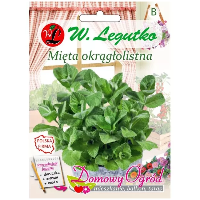 Mięta Okrągłolistna nasiona 0,1g - W. Legutko