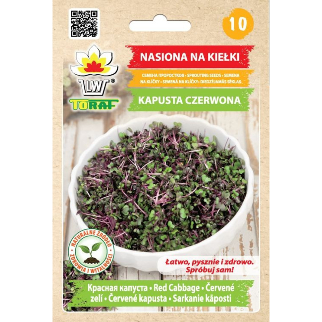 Kapusta czerwona nasiona na kiełki 10g - TORAF
