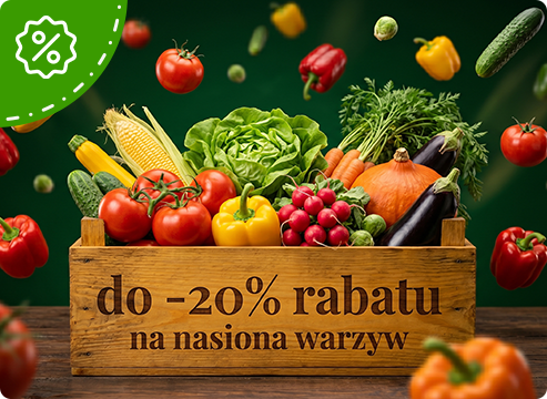 PROMOCJA NASIONA WARZYW