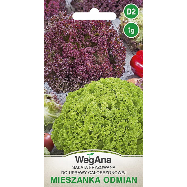 Sałata masłowa fryzowana mieszanka odmian 1g - WegAna