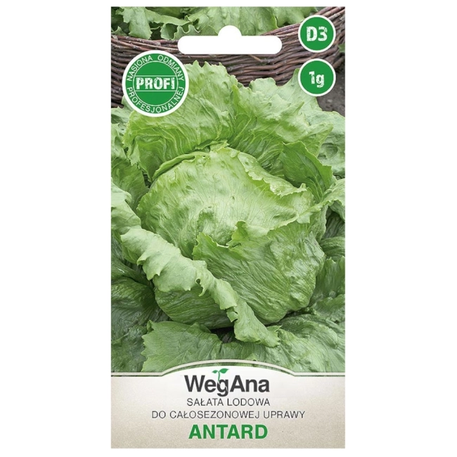 Sałata Antrad 1g - WegAna