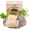 Zestaw Microgreens do uprawy mikrolistków - TORAF