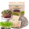Zestaw Microgreens do uprawy mikrolistków - TORAF
