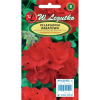 Pelargonia rabatowa Gama F1- czerwona nasiona  0,05g - W. Legutko