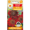 Słonecznik ozdobny Red Sun czerwony 2g - TORAF