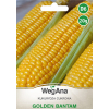 Kukurydza cukrowa Golden Bantam 20g - WegAna