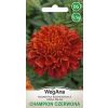 Aksamitka Rozpierzchła Champion czerwona 1g - WegAna