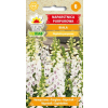 Naparstnica purpurowa biała nasiona 0,2g - TORAF