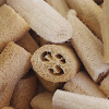 Gąbczak walcowaty Luffa nasiona 1g - TORAF