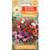 Balsamina Waleriana Niecierpek nasiona 0,1g - TORAF