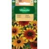 Rudbekia dwubarwna Rotacznica  nasiona 1g - VILMORIN