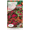 Koleus Pokrzywka MIX nasiona 0,1g - TORSEED