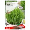 Zielony Jęczmień nasiona 30g - TORSEED