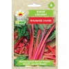Burak liściowy Rhubarb Chard nasiona 5g - TORAF
