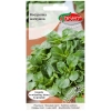 Roszponka Verte De Cambrai nasiona 2g - TORSEED