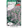 Macierzanka purpurowa nasiona 0,3g - TORSEED