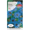 Kupidynek niebieski nasiona 0,3g - TORSEED