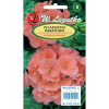 Pelargonia rabatowa Gama F1 łososiowa nasiona 0,05g - W. Legutko