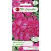 Pelargonia rabatowa Gama F1 różowa nasiona 0,05g - W. Legutko