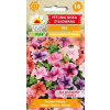Petunia żyłkowana niska mieszanka 0,1g - TORAF