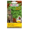 Kocimiętka nasiona 0,5g - PlantiCo
