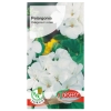 Pelargonia rabatowa biała nasiona 10szt. - TORSEED