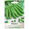Groch siewny łuskowy Cud Kelvedonu nasiona 40g = WegAna