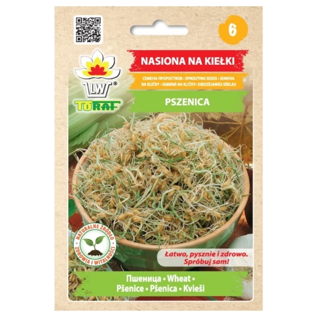 Pszenica nasiona na kiełki 50g - TORAF