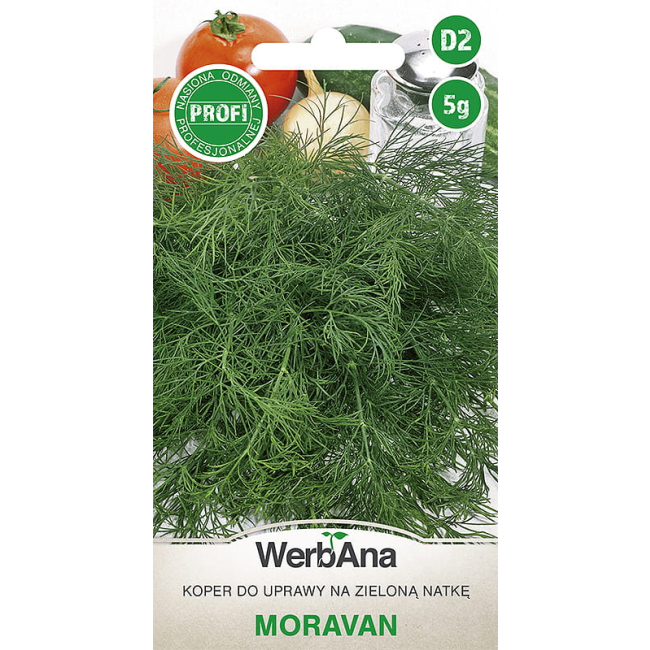 Koper Moravan 5g - WegAna