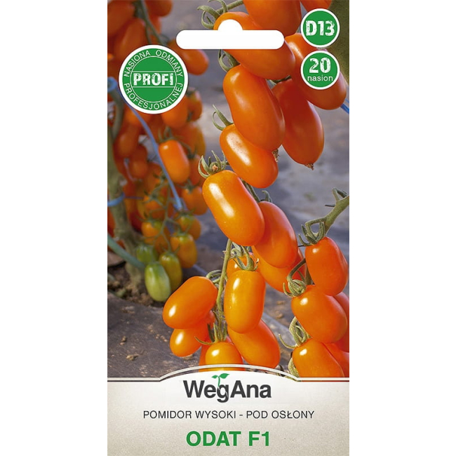 Pomidor Odat F1 20 nasion - WegAna