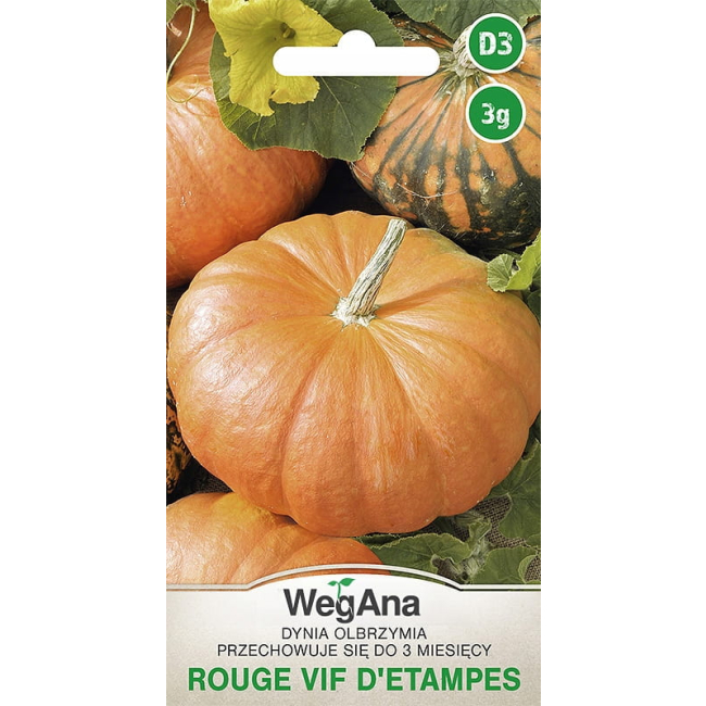 Dynia olbrzymia Rouge vif d'Etampes 3g - WegAna