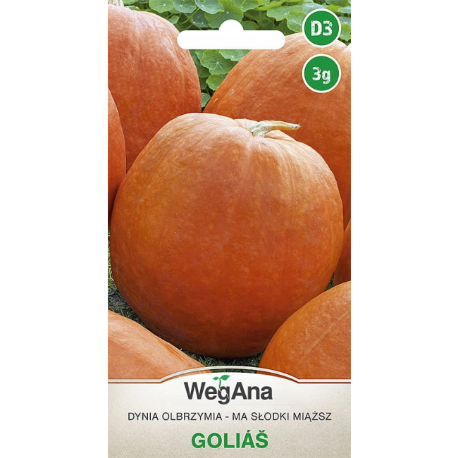 Dynia olbrzymia Golias 3g - WegAna