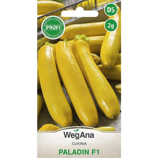 Cukinia (Dynia) Paladin (F1) 2g - WegAna
