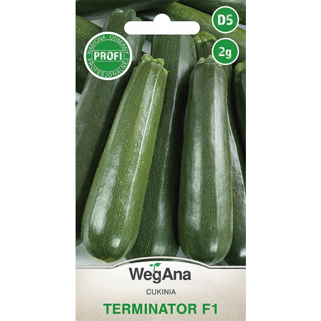 Cukinia (Dynia) Terminator (F1) 2g - WegAna