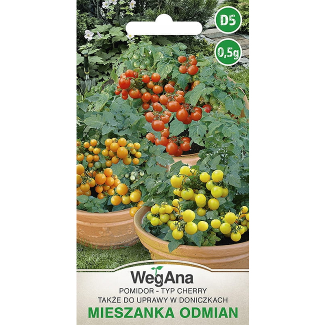 Pomidor typ Cherry mieszanka odmian 0,5g - WegAna