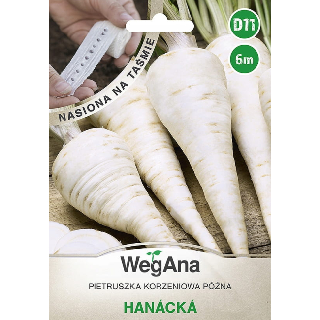 Pietruszka korzeniowa późna Hanacka nasiona na taśmie 6 m - WegAna