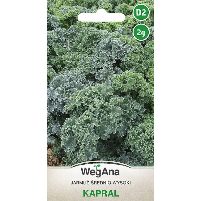 Jarmuż Kapral 2g - WegAna