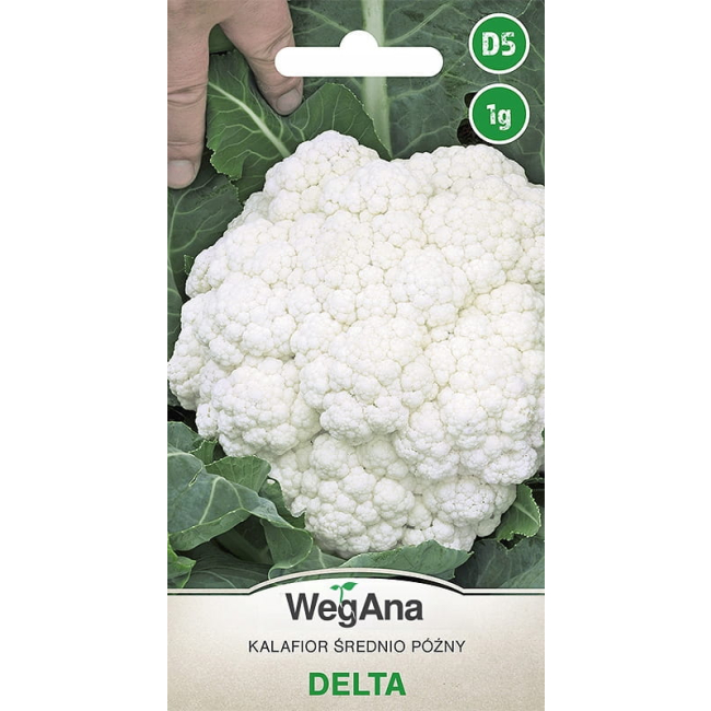 Kalafior Delta 1g - WegAna