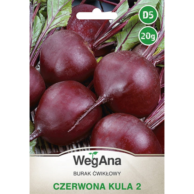 Burak cwiklowy Czerwona Kula 2 nasiona 20g - WegAna