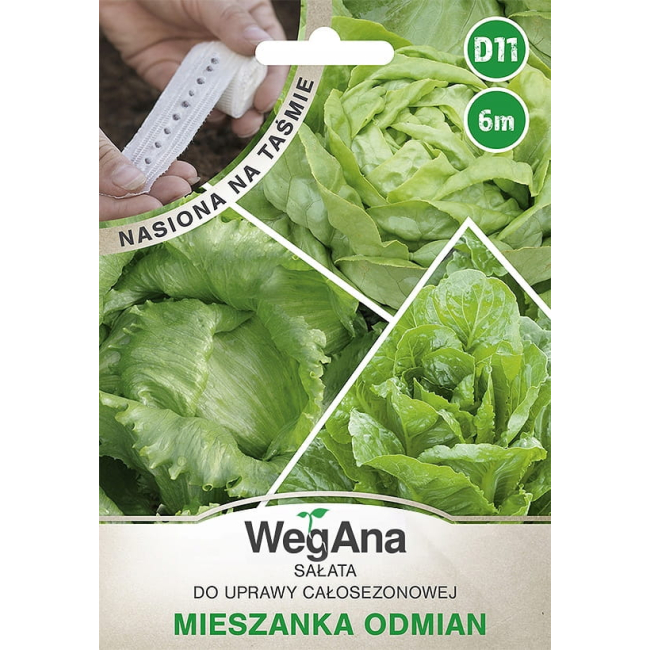 Sałata mieszanka odmian zielonych nasiona na taśmie 6 m - WegAna