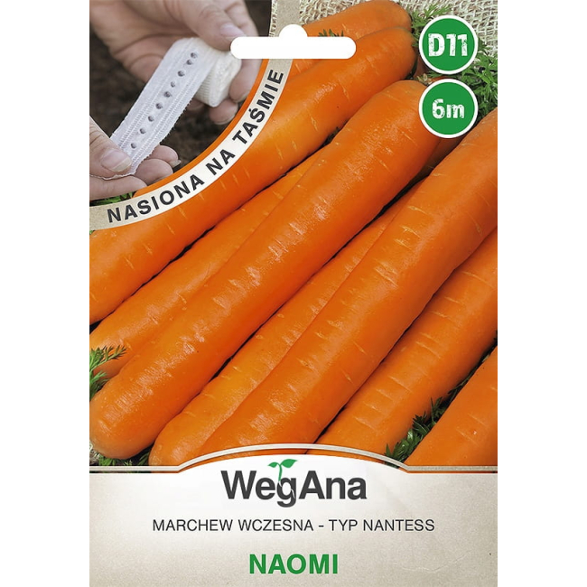 Marchew wczesna Naomi nasiona na taśmie 6 m - WegAna