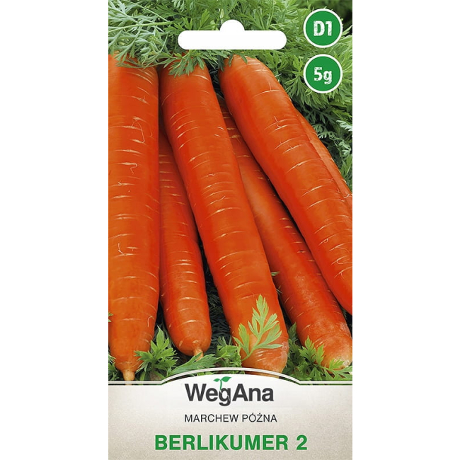 Marchew późna Berlikumer 2  5g - WegAna