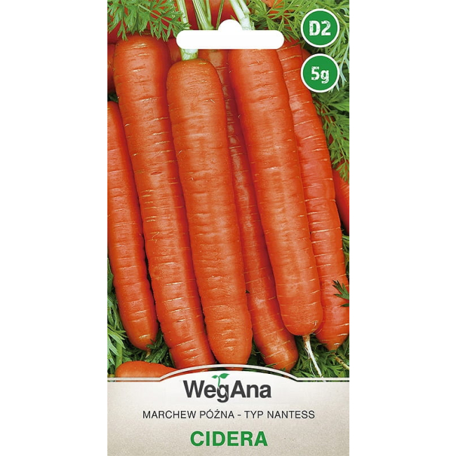 Marchew późna Cidera 5g - WegAna
