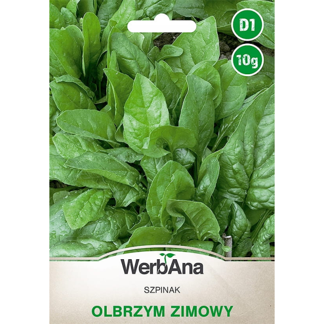Szpinak Olbrzym Zimowy 10g - WegAna