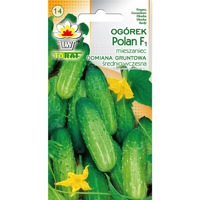 Ogórek Polan F1 nasiona 5g - TORAF