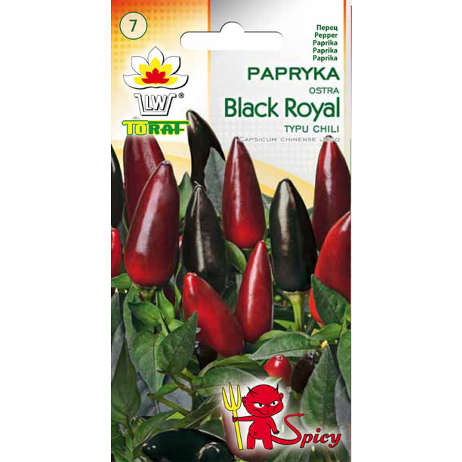 Papryka Ostra Black Royal 10 nasion  - TORAF