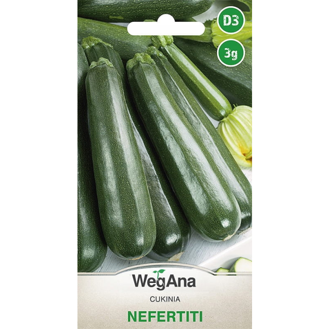 Cukinia Nefertiti zielona 3g - WegAna