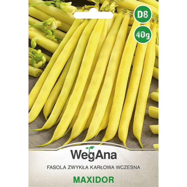 Fasola Szparagowa Maxidor Bezwłóknista karłowa 40g - WegAna