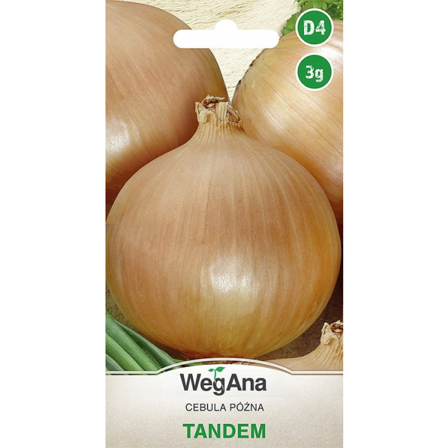 Cebula Tandem 3g - WegAna