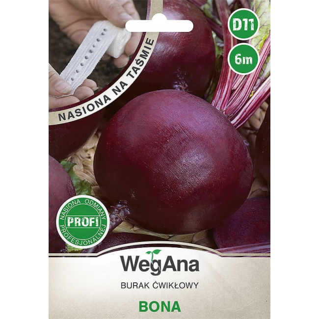 Burak Ćwikłowy Bona  nasiona na taśmie 6 m - WegAna